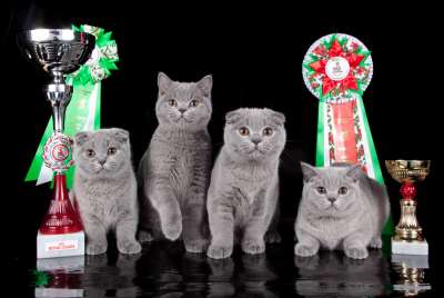 �������� ����� '������� ���-�����' 30 ������-1 ������� 2013� 110_best1_litter_IMG_3491 copy.jpg